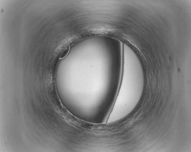 X0000060810407200511101041