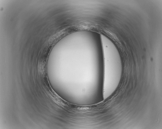 X0000060810409200511101041