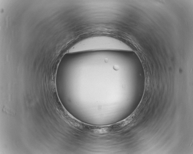 X0000060810411200511101041