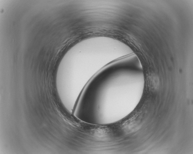 X0000060810412200511101041