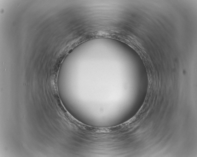 X0000060810415200511101041