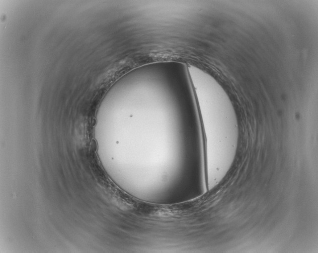 X0000060810416200511101041