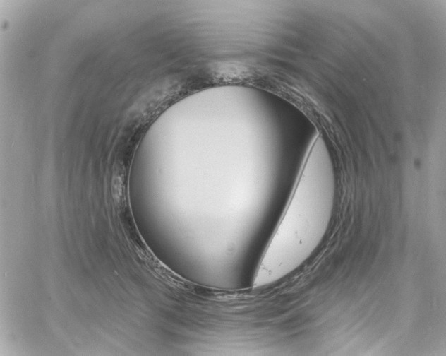 X0000060810417200511101041