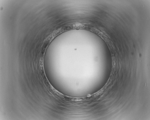 X0000060810419200511101041