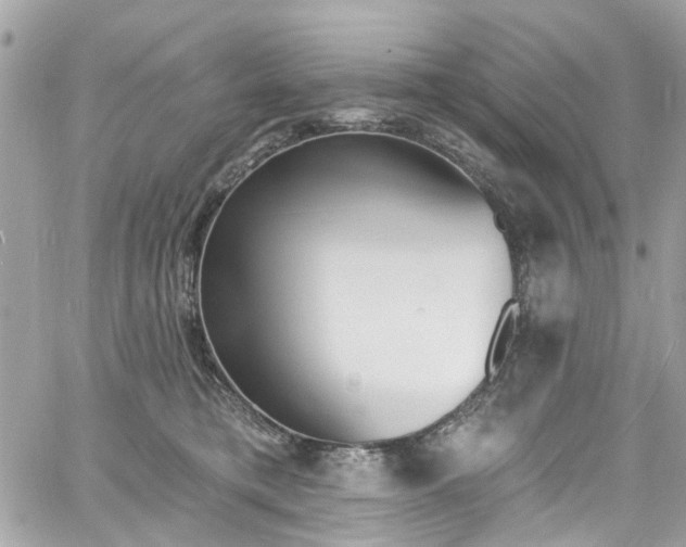 X0000060810421200511101041