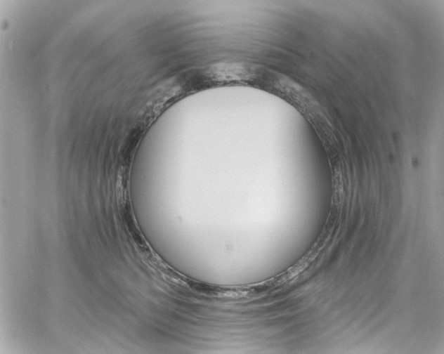 X0000060810422200511101041