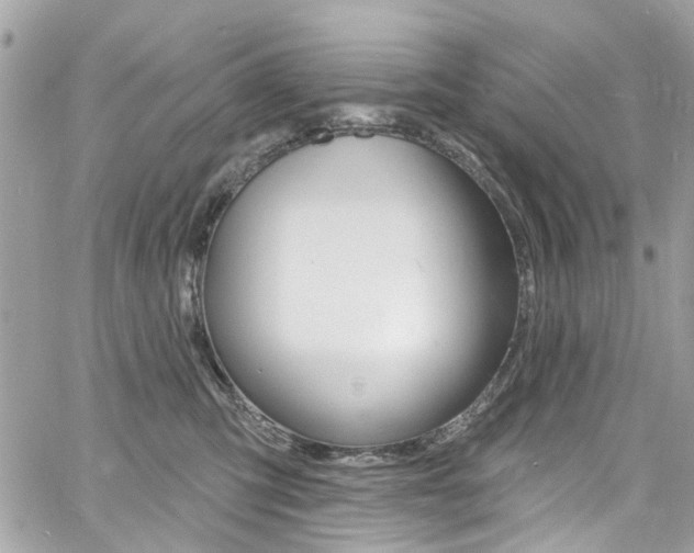 X0000060810423200511101041