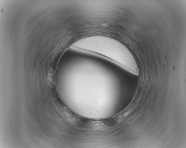 X0000060810424200511101041