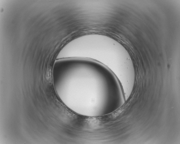 X0000060810425200511101041