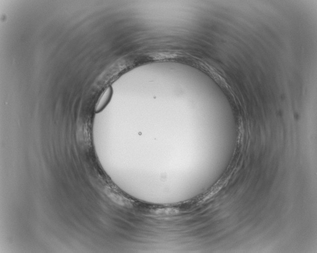 X0000060810426200511101041