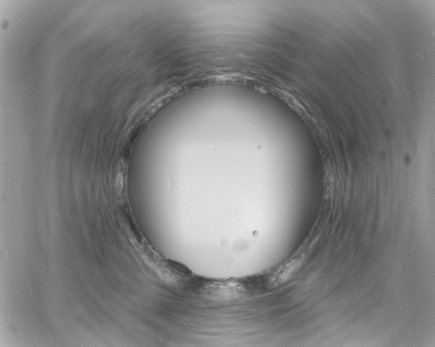 X0000060810427200511101041