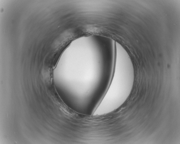 X0000060810428200511101041