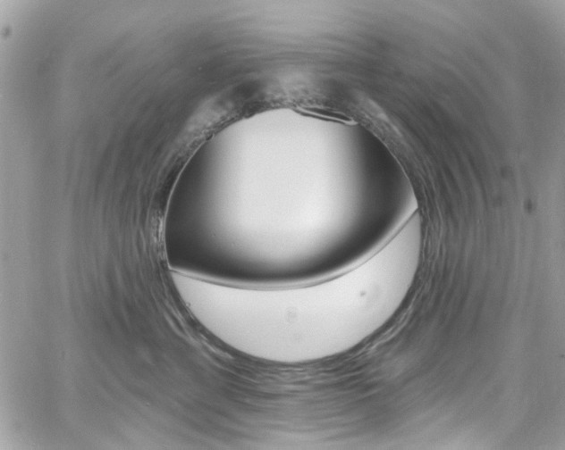 X0000060810429200511101041