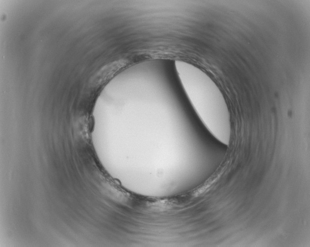 X0000060810430200511101041