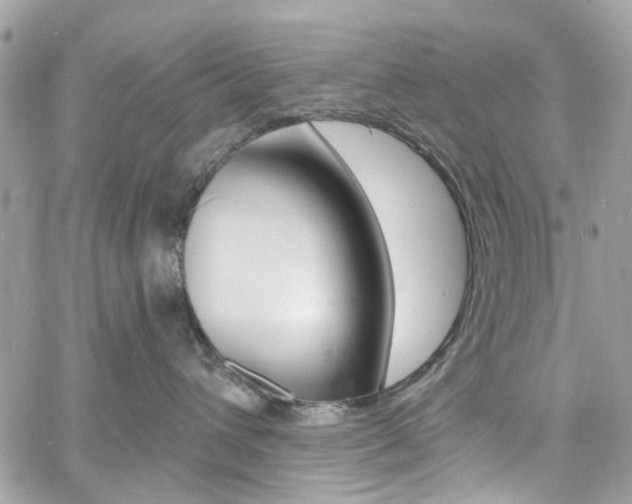 X0000060810432200511101041