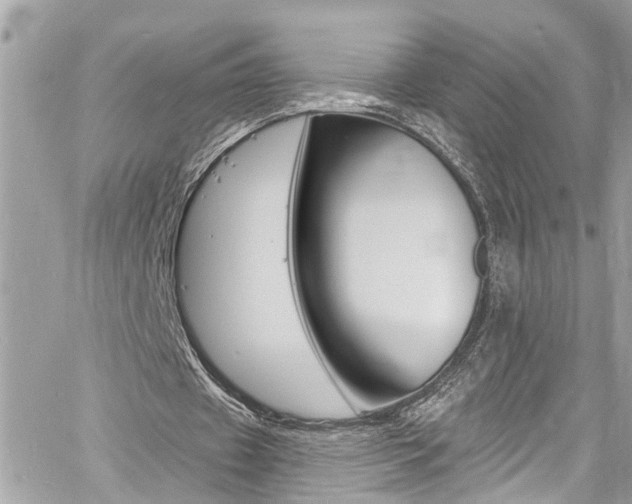 X0000060810433200511101040