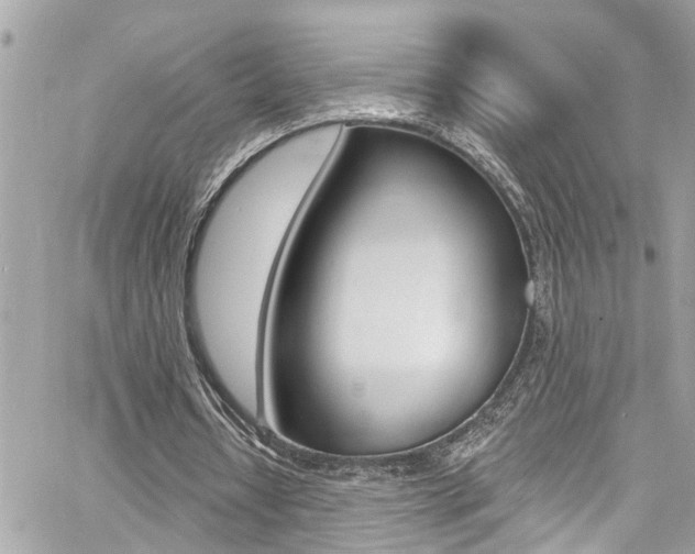 X0000060810434200511101040