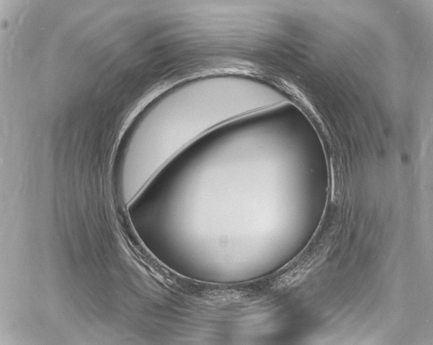 X0000060810435200511101040