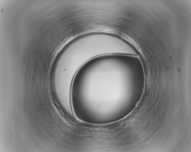 X0000060810436200511101040