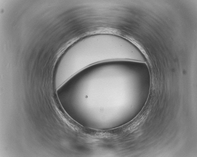 X0000060810437200511101040