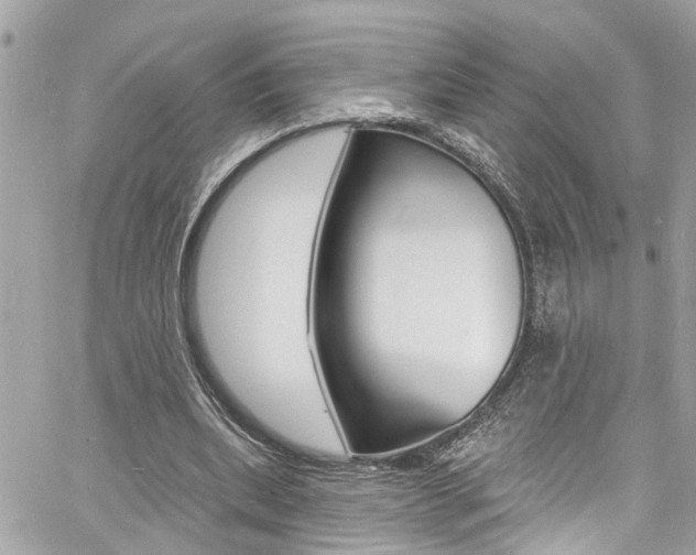 X0000060810439200511101040