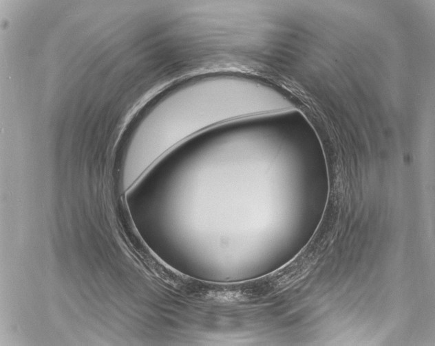 X0000060810440200511101040