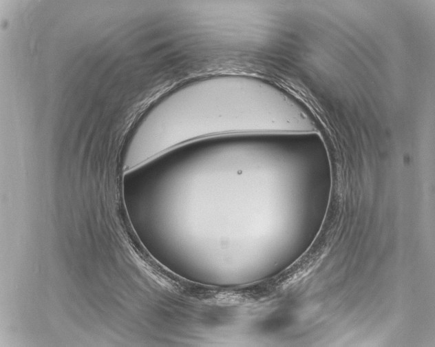 X0000060810441200511101040