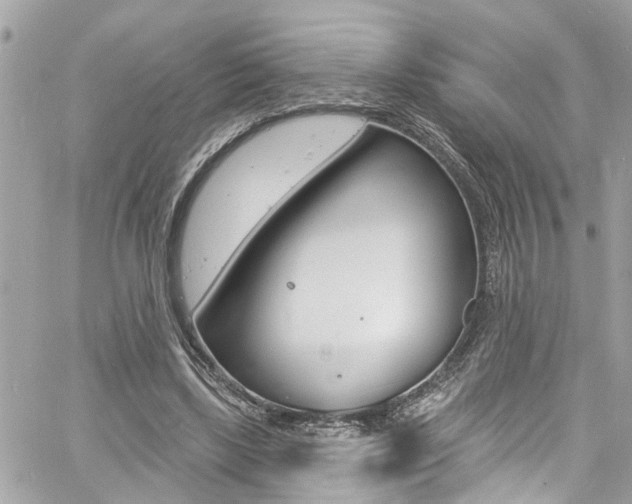 X0000060810443200511101040