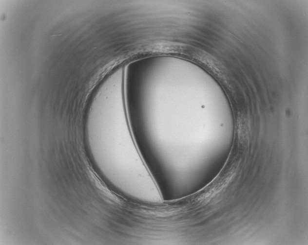 X0000060810445200511101040