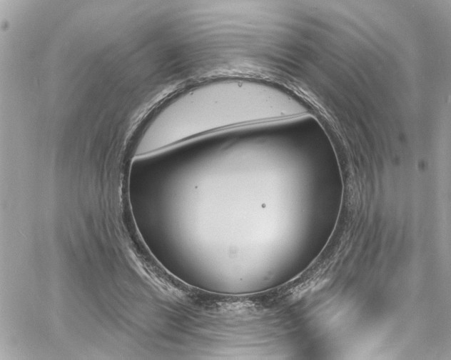 X0000060810446200511101040