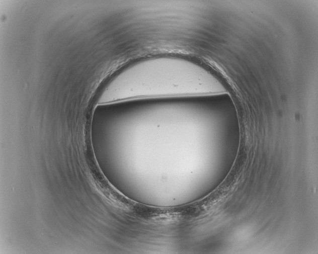 X0000060810447200511101040