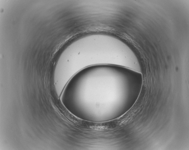 X0000060810448200511101040