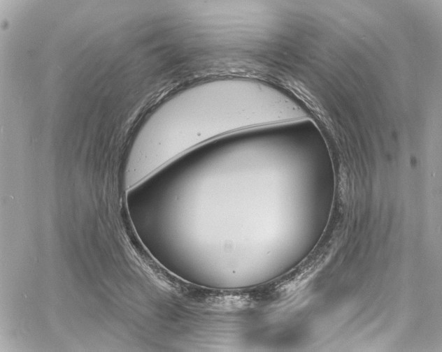 X0000060810449200511101040