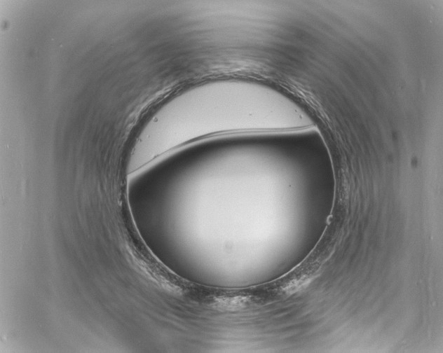 X0000060810450200511101040