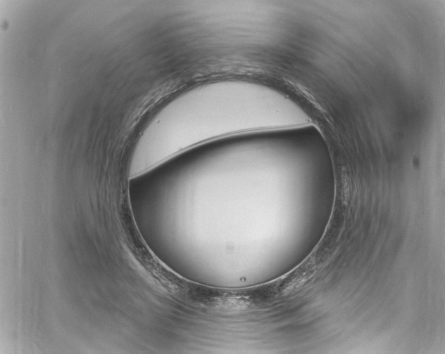 X0000060810451200511101040