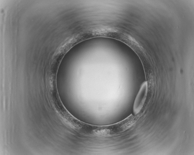 X0000060810452200511101040