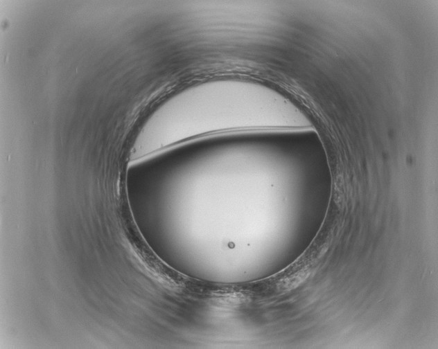 X0000060810454200511101040