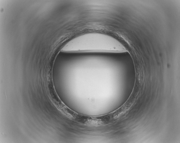 X0000060810455200511101040