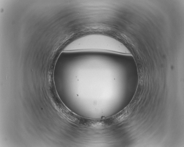 X0000060810456200511101040