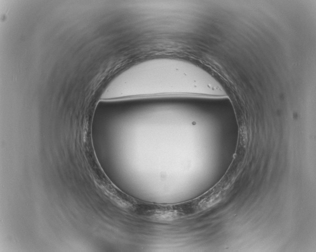 X0000060810458200511101040