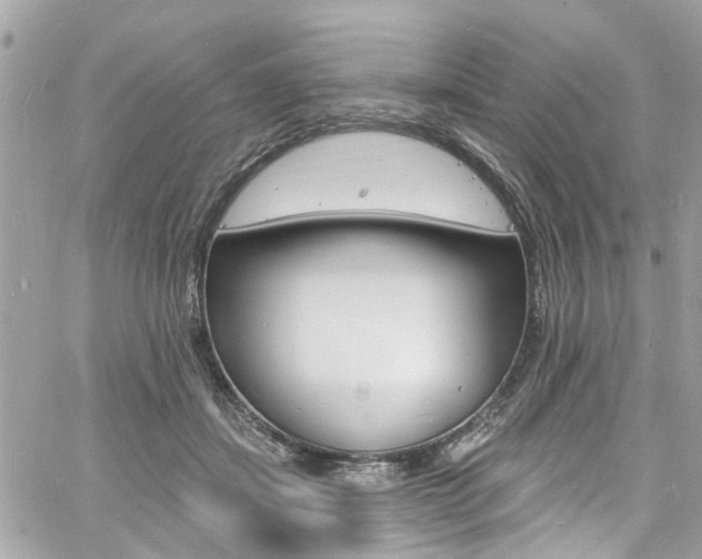 X0000060810459200511101040