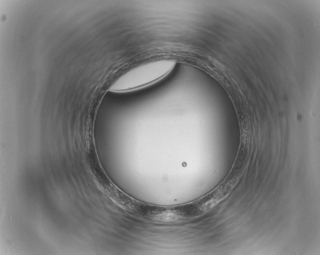 X0000060810460200511101040