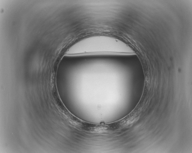 X0000060810462200511101040