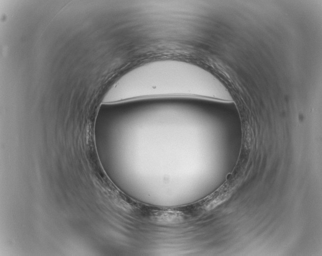 X0000060810463200511101040