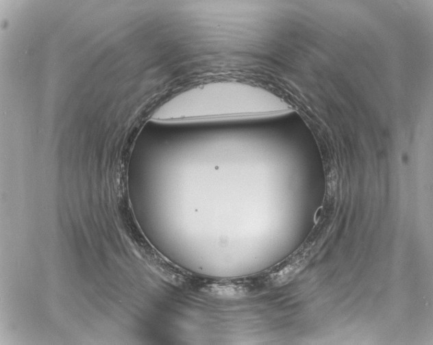 X0000060810464200511101040