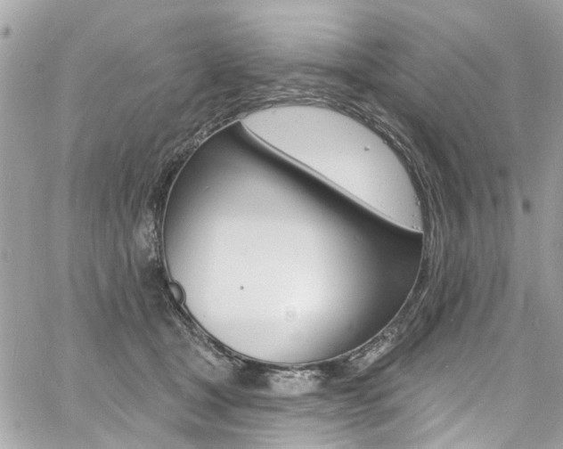 X0000060810465200511101040