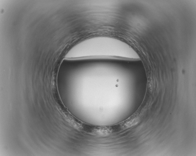 X0000060810466200511101040