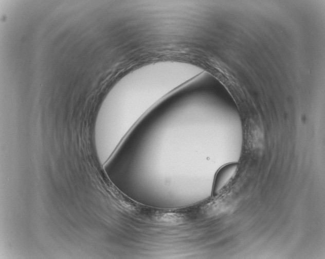 X0000060810467200511101040