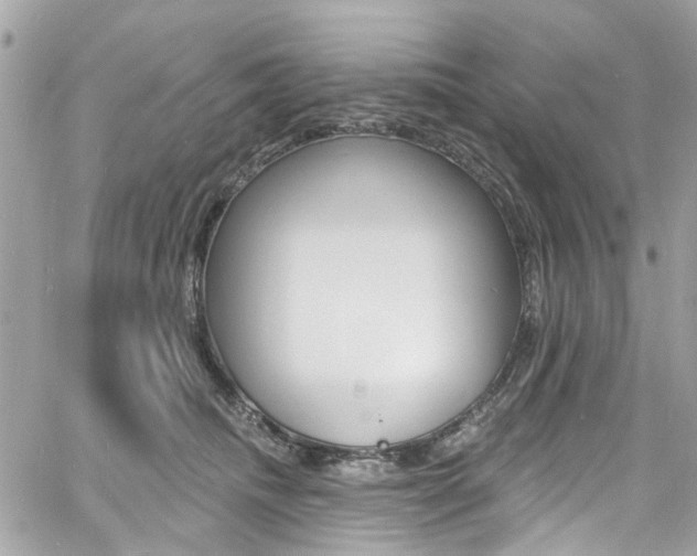 X0000060810468200511101040