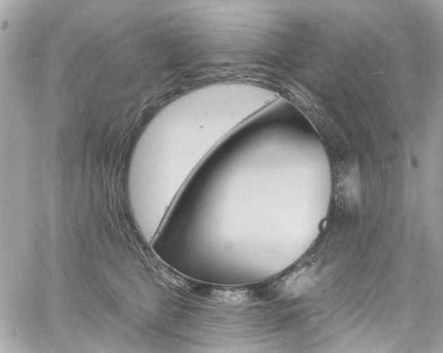 X0000060810469200511101040